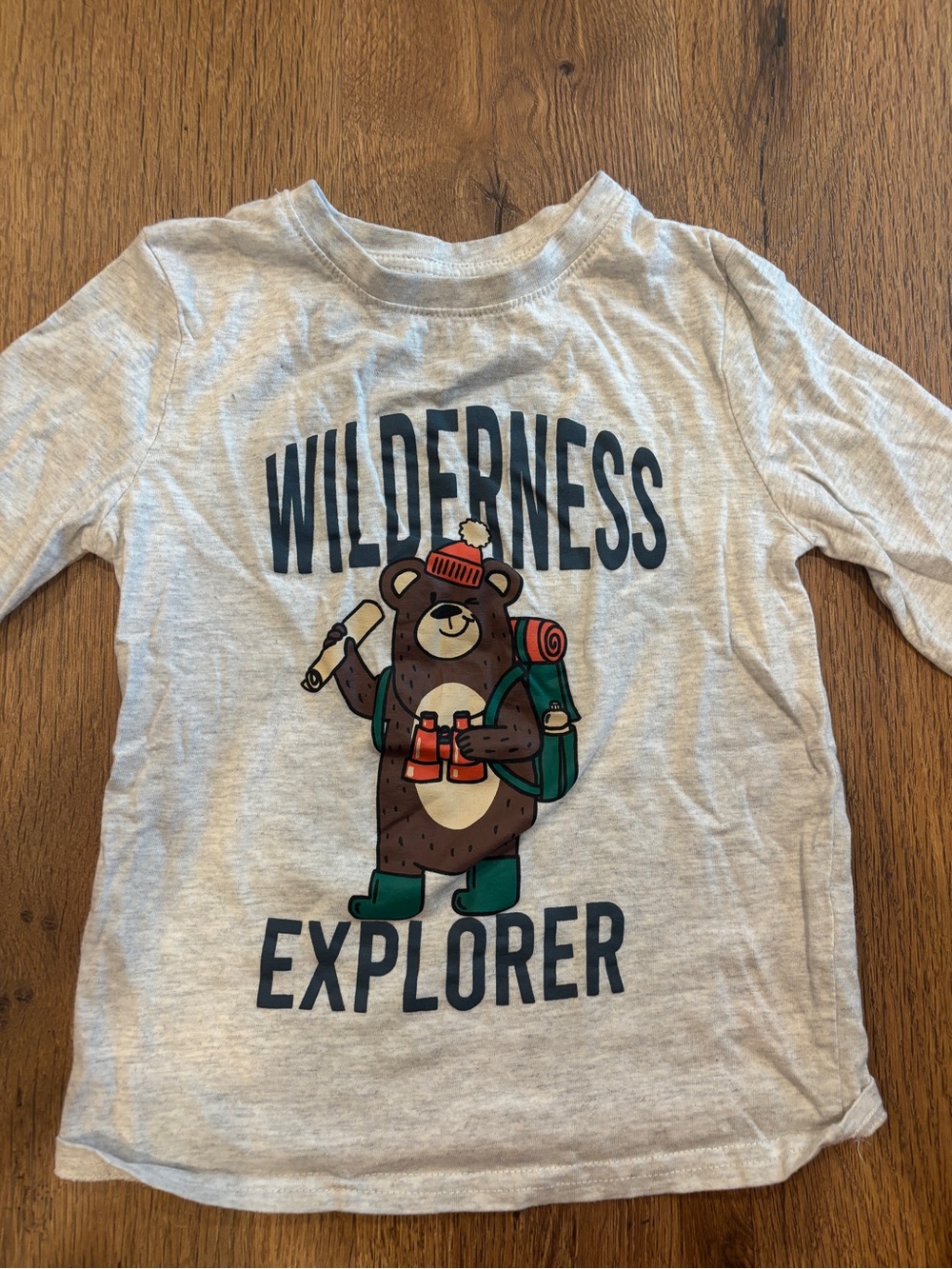 Primark Gray 'Wilderness Explorer' Bear Long-Sleeve Tee